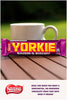 Nestlé Yorkie Raisin and Biscuit Milk Chocolate Bar, 24 Pcs (Full Box) Delicoius And Tasty