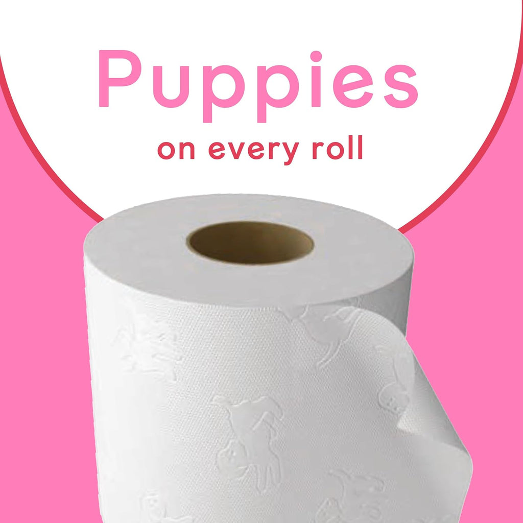 Andrex Family Soft Toilet Paper 24 Rolls (Pack of 2), 170 sheets Per Roll Gentle on your Family’s skin