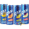 Rani Float Mix 24x235ml Mango, Peach, Orange, Pineapple, Strawberry Banana Juice