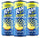 Rani Float Pineapple Fruit Drink With Chunks 240ml (Pack of 24) "A symphony of flavors"