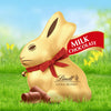Lindt Gold Bunny Milk Chocolate 50G Bunnies Perfect Easter Kids Treat