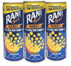 Rani Float Mango Fruit Drink with Chunks Refreshing 240ml (Pack of 24) Delicoius And Tasty