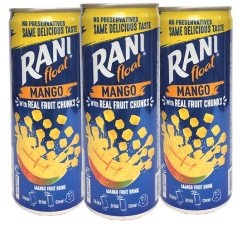 Rani Float Mango Fruit Drink with Chunks Refreshing 240ml (Pack of 24) Delicoius And Tasty
