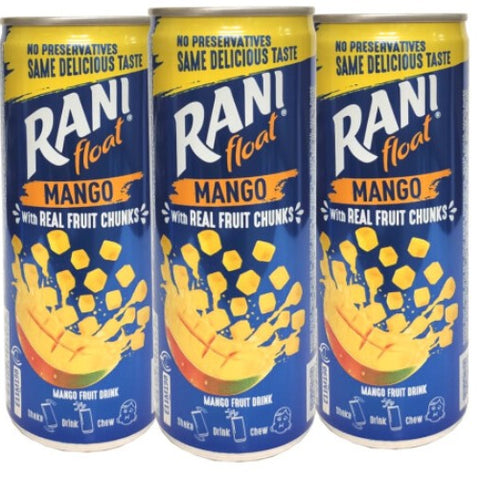 Rani Float Mango Fruit Drink with Chunks Refreshing 240ml (Pack of 24) Delicoius And Tasty